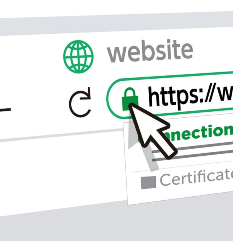 Как выглядит значок SSL-сертификата
